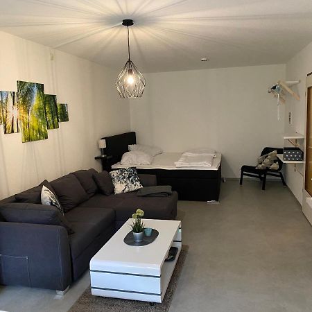 Ferienwohnung Schneewittchen アルテンアウ エクステリア 写真
